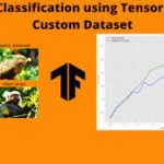 How to Create and Use Your Own Custom Dataset in TensorFlow